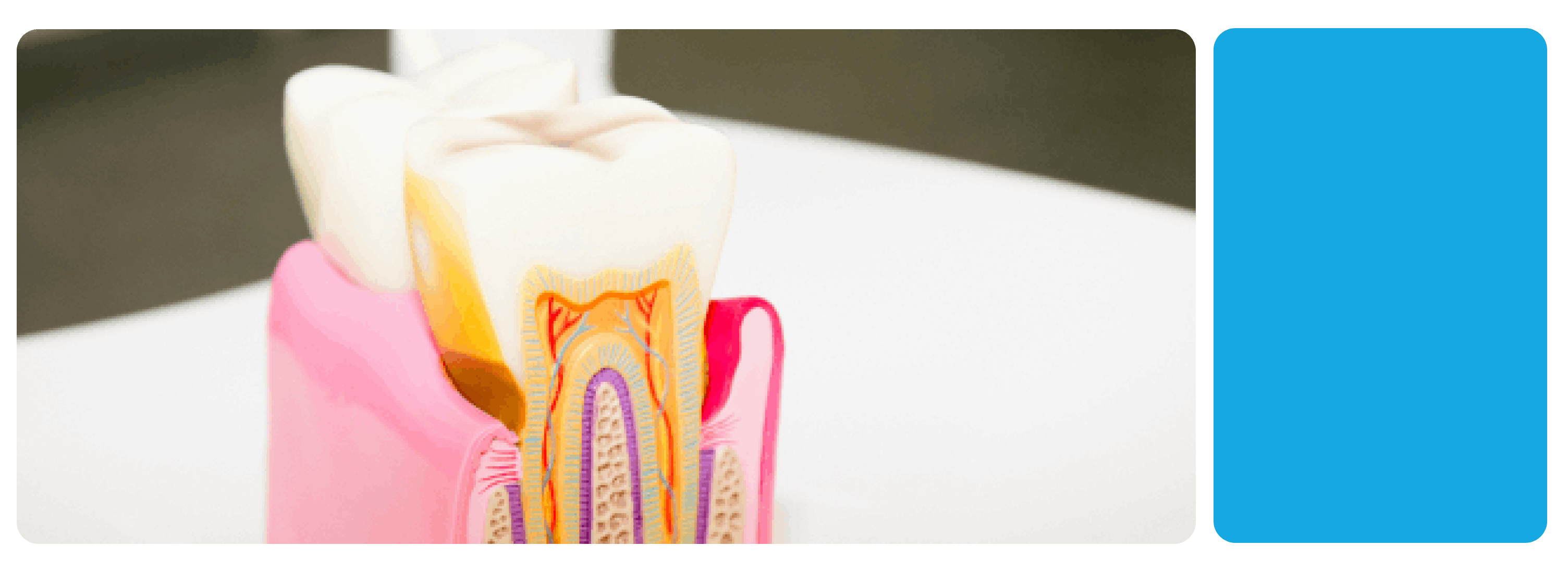 Pediatric Dentistry Specialist